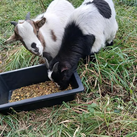 Du Marais Dom wakacyjny La Bonneville