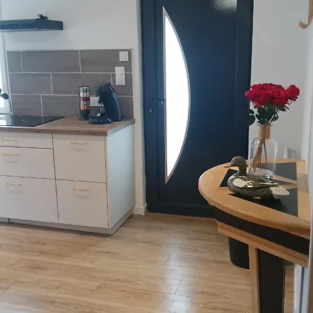 Dom wakacyjny Du Marais *