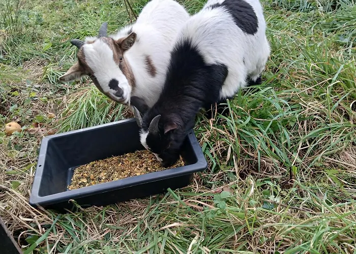 Du Marais Сasa de vacaciones La Bonneville
